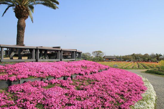 Izumi Recycle Environment Park