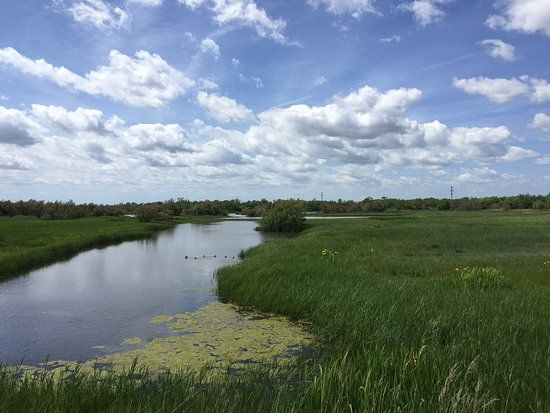 Parc Natural dels Aiguamolls de l'Emporda