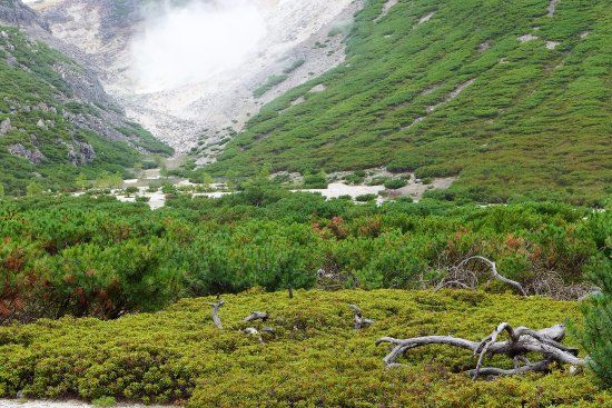 Tsutsuji-ga-hara Nature Trail