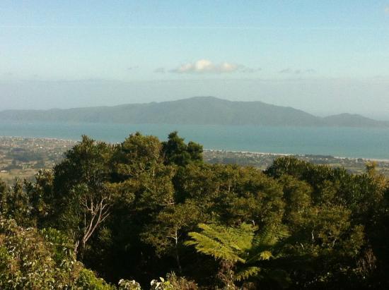 Hemi Matenga Memorial Park Scenic Reserve