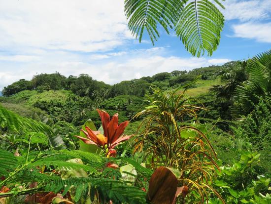 Flora Tropica Botanical Gardens