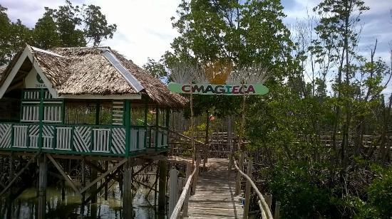 Omagieca Obo-ob Mangrove Garden