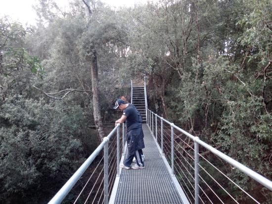 Bridport Walking Track