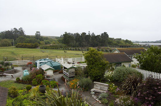 Harley Farms Goat Dairy