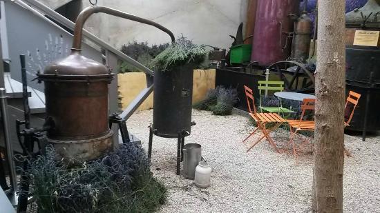 Musée de la Lavande