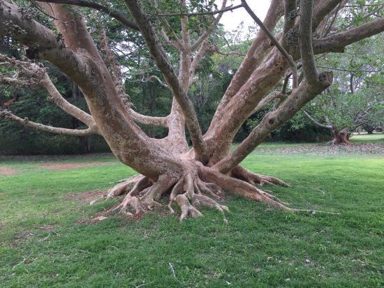 National Botanic Garden