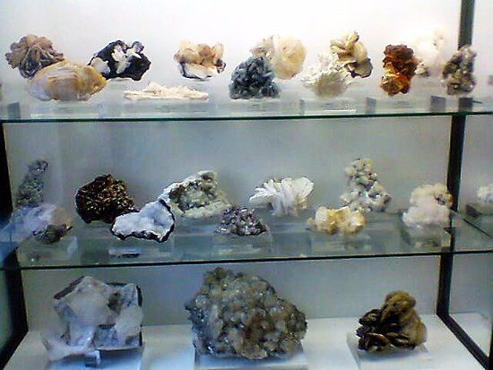 Museo de Ciencias Naturales de Álava