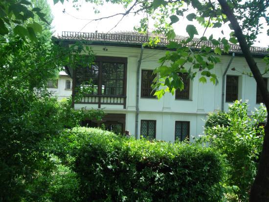 Musée Theodor Pallady