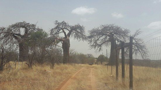 Musina Nature Reserve