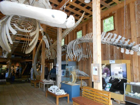 The Whale Interpretive Centre