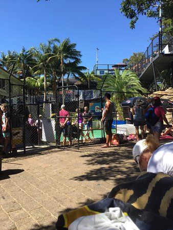 Manly Surf 'n' Slide