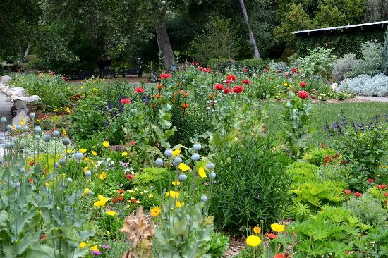 Descanso Gardens