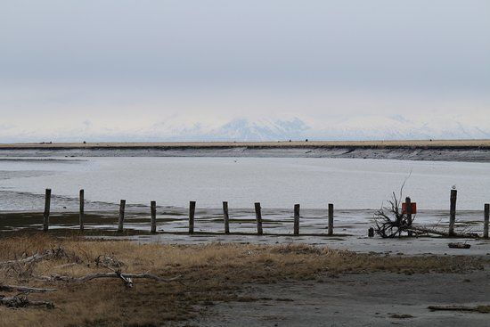 Kenai River Estuary