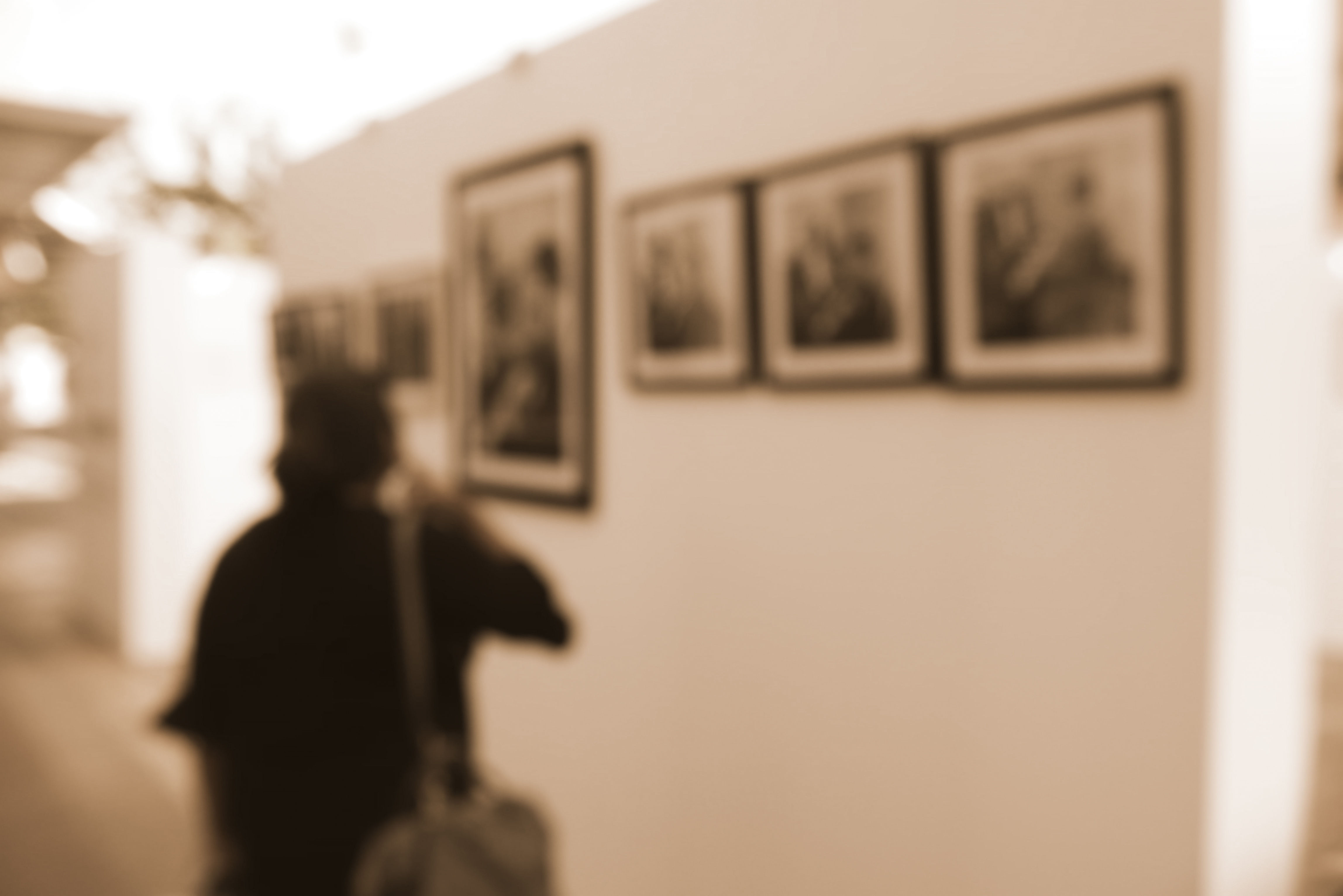 Ceret Museum of Modern Art