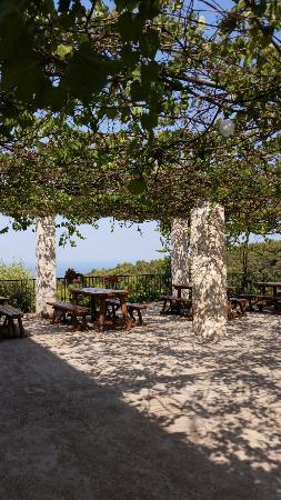 Ristorante Pizzeria Millepini