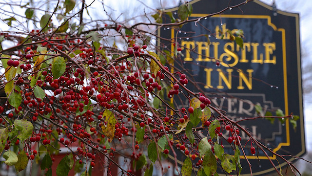The Thistle Inn & Restaurant