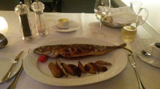 Maritim Hotel Bellevue