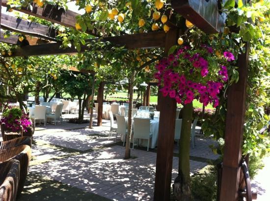 Tenuta Convivium Cuma