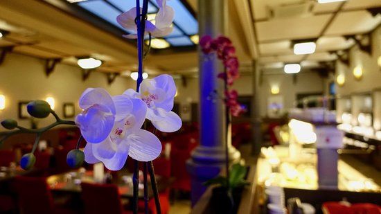 Yuan Wok Asian Fusion