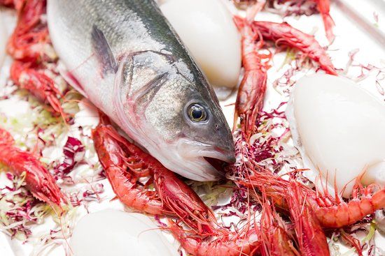 Augustus Resort Pleasure