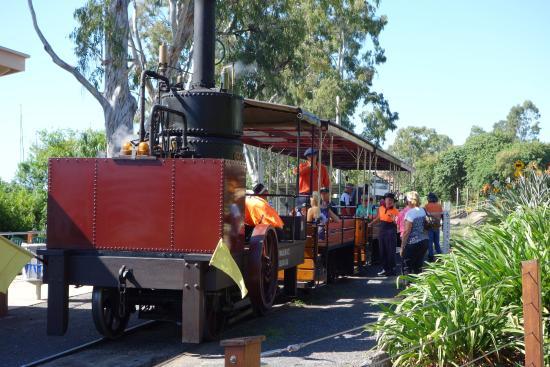 Mary Ann Steam Locomotive
