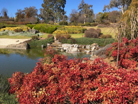 Cowra Japanese Garden