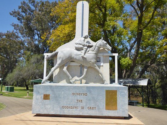 Gunsynd The Goondiwindi Grey