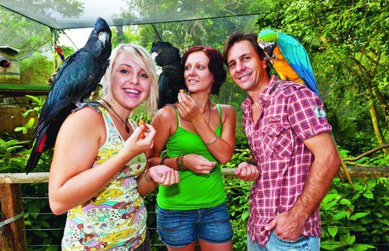 Birdworld Kuranda