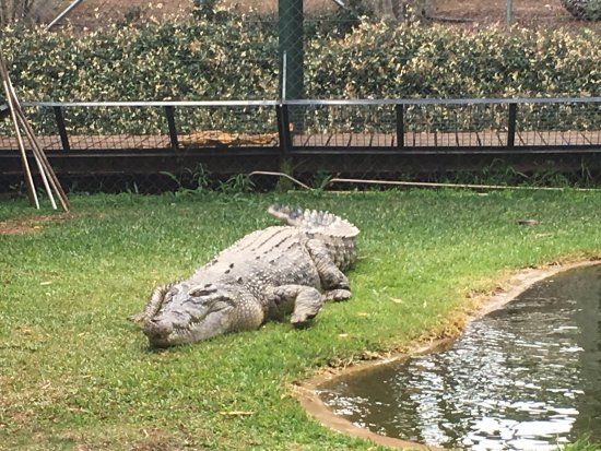 Snakes Downunder Reptile Park