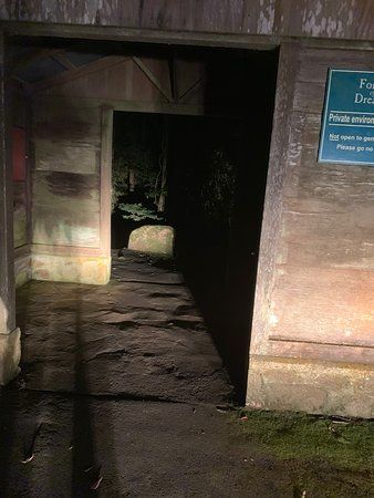 Springbrook Glow Worm Research Centre