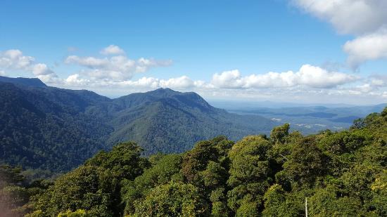 Parque Nacional de Dorrigo