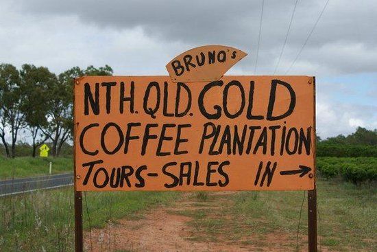 North Queensland Gold Coffee Plantation