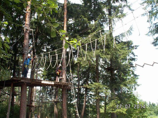 Kletterpark Waldbad Anif