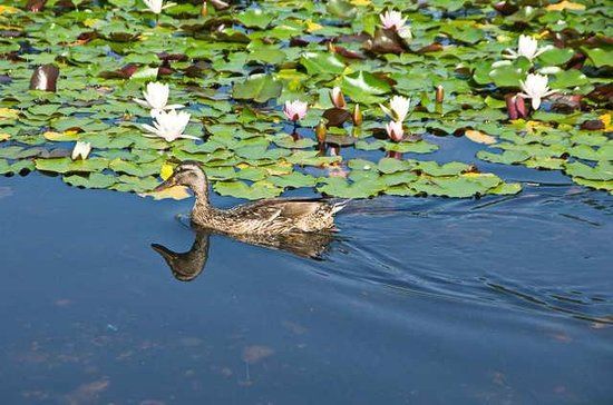 Österreichischer Skulpturenpark