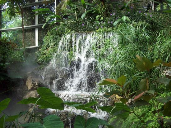 Blue Harbor Tropical Arboretum