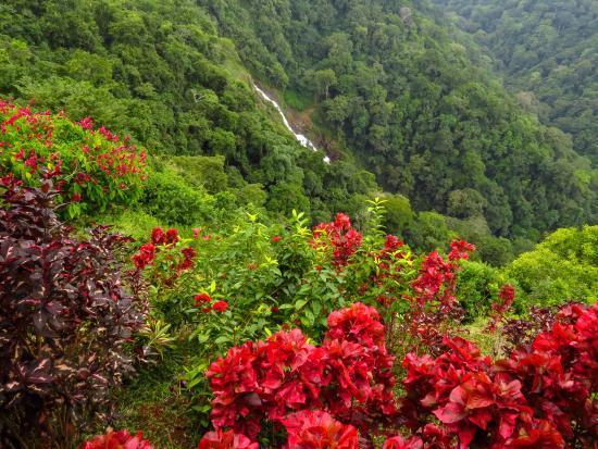 Pura Vida trädgård och vattenfall