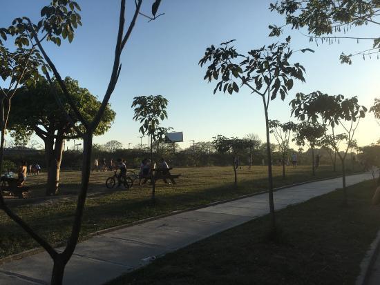 Parque del Bicentenario