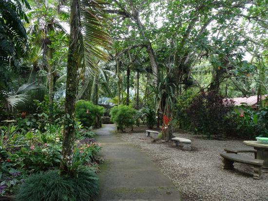 Tree of Life Wildlife Rescue Center and Botanical Gardens