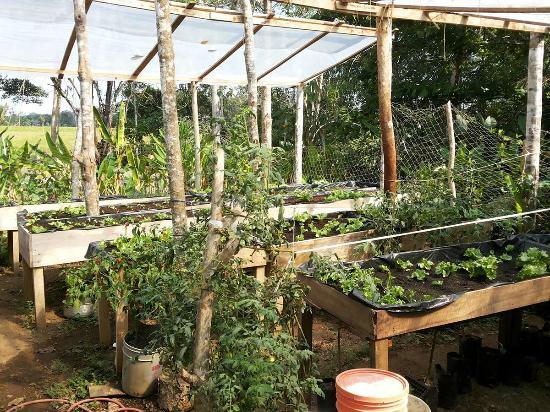 Rancho Raices de Osa