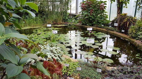 Botanischer Garten Liberec