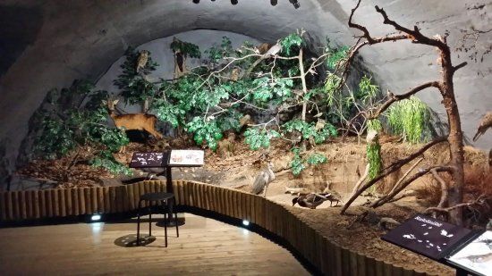 Trebon Exhibition House