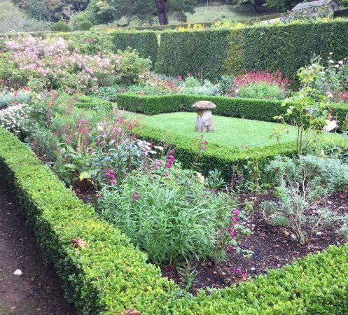 Mottistone Gardens