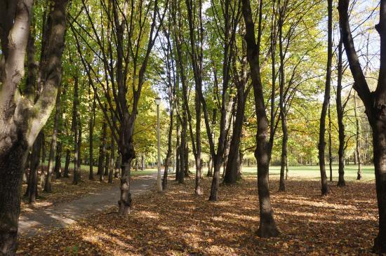 Park Lotnikow Polskich