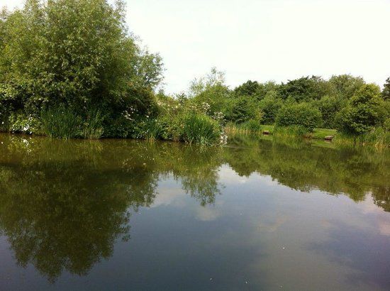 Packington Somers Fishery