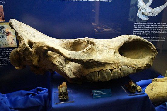 Natuurhistorisch Museum