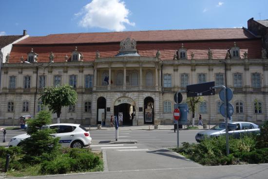 The Museum of Art of Cluj-Napoca