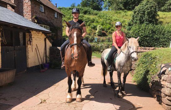 Burrowhayes Farm Riding Stables