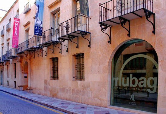 Museo de Bellas Artes Gravina