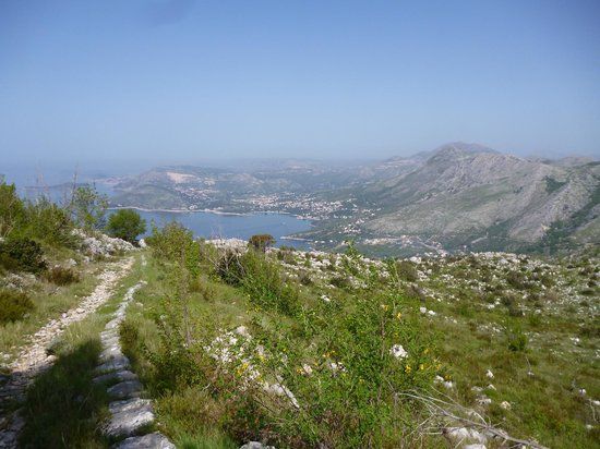 Ronald Brown Pathway