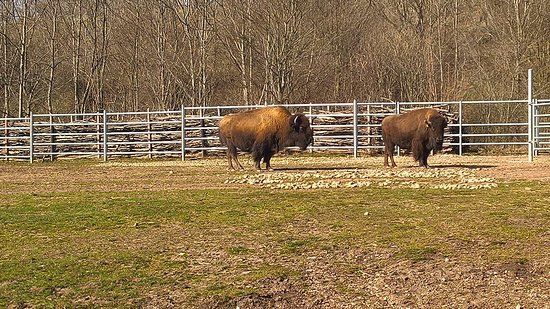 Thüringer Zoopark Erfurt